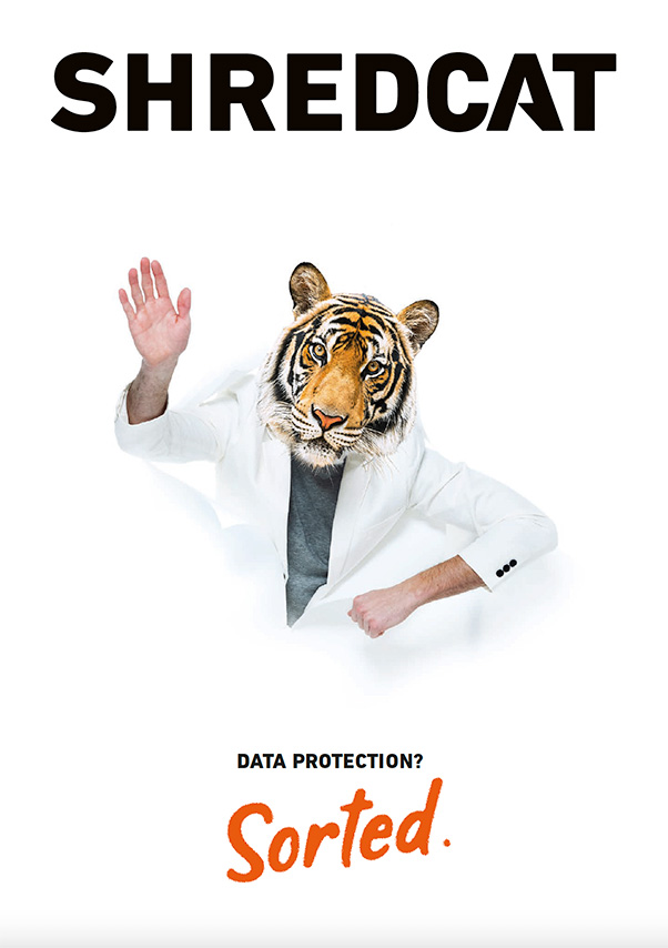 IDEAL | Shredcat